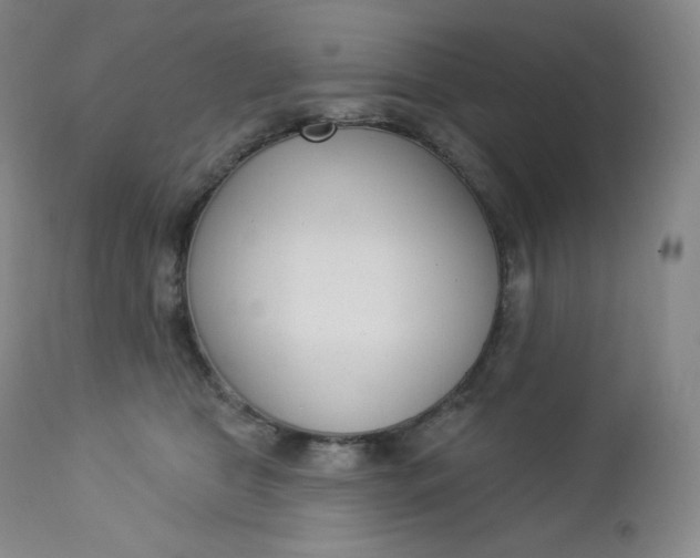 X0000112860469200909041558