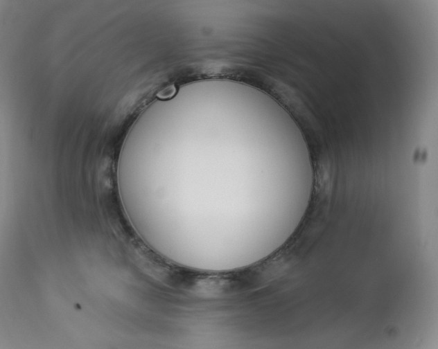 X0000112860470200909041558