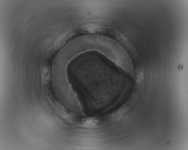 X0000112860471200909041558