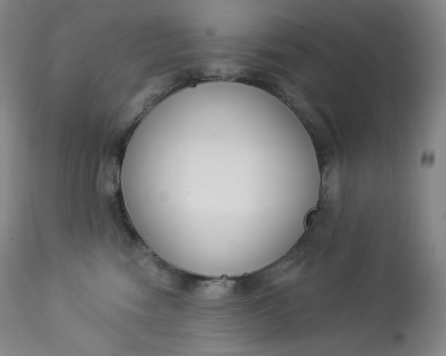 X0000112860474200909041558