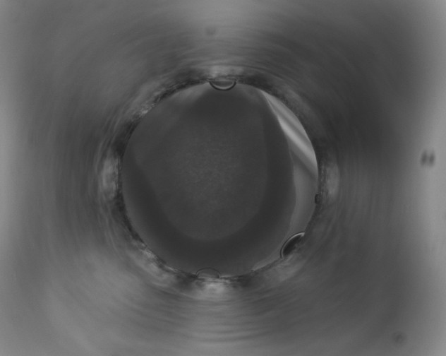 X0000112860475200909041558