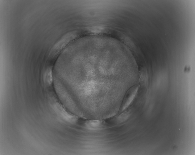 X0000112860479200909041558