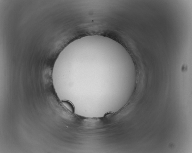 X0000112860480200909041558