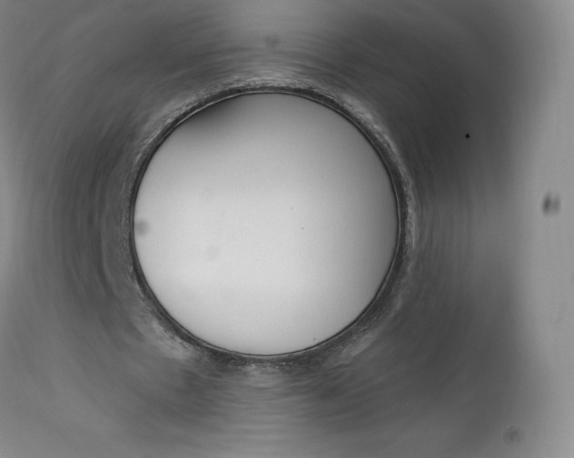 X0000112860481200909041557