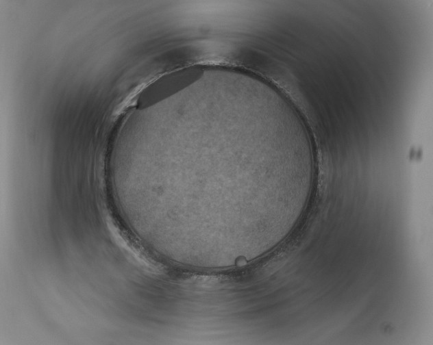 X0000112860482200909041557