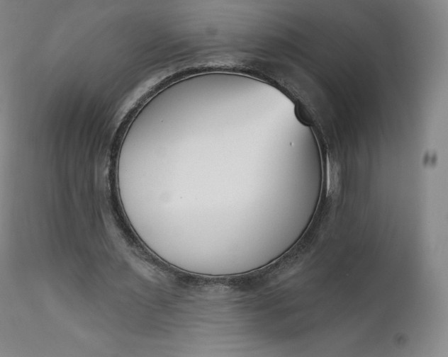 X0000112860483200909041557