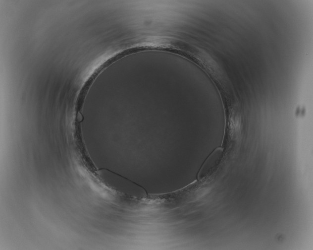 X0000112860484200909041557