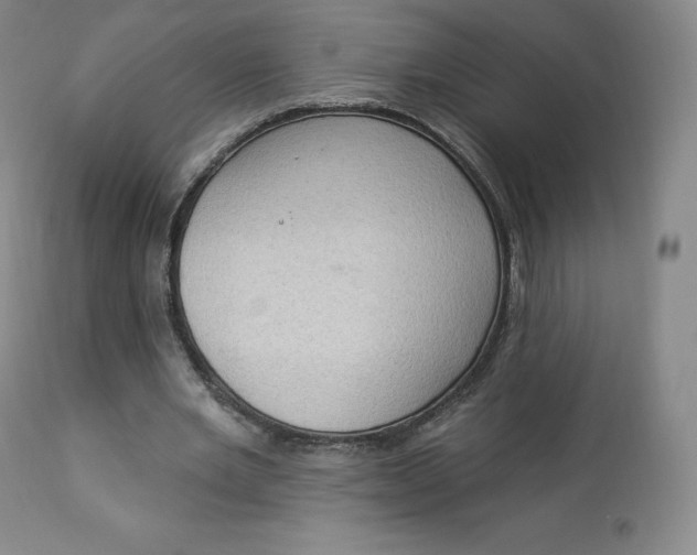 X0000112860485200909041557