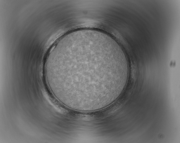 X0000112860486200909041557