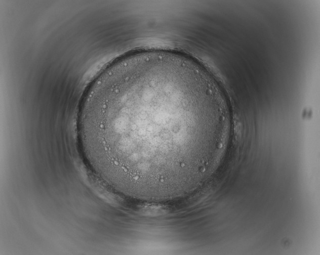 X0000112860487200909041557