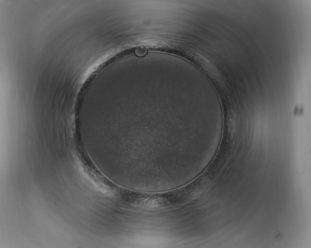 X0000112860488200909041557