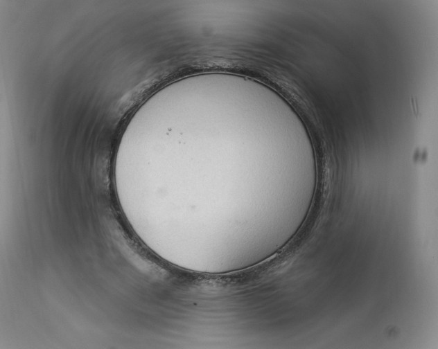 X0000112860489200909041557