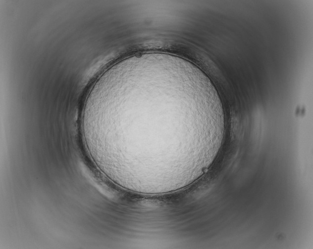 X0000112860490200909041557