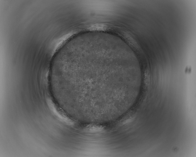 X0000112860491200909041557