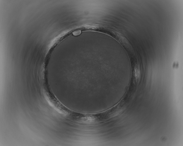 X0000112860492200909041557