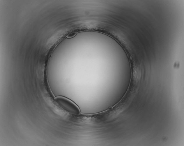 X0000112860493200909041557