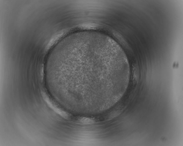 X0000112860494200909041557