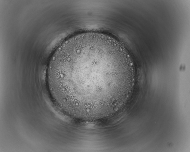 X0000112860495200909041557