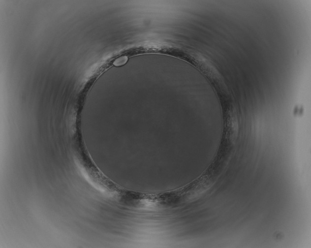 X0000112860496200909041557