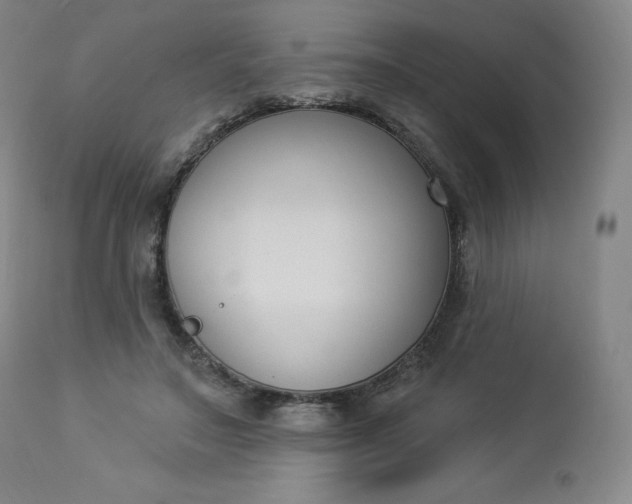 X0000112860499200909041557