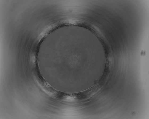 X0000112860500200909041557