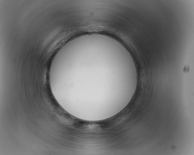 X0000112860501200909041557