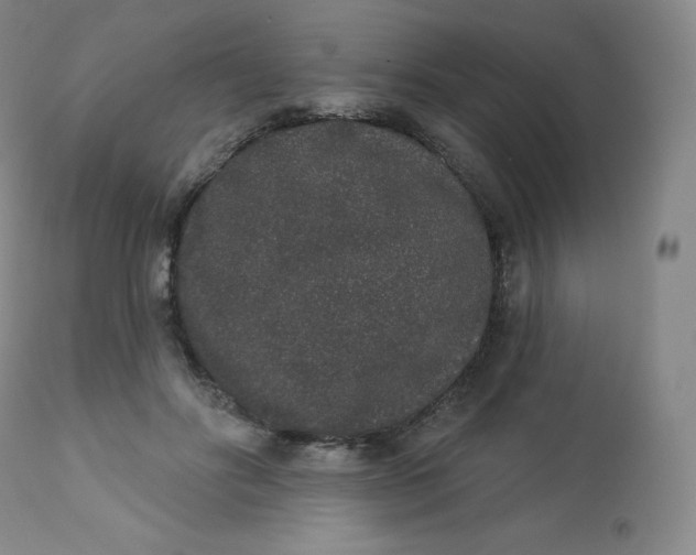 X0000112860502200909041557