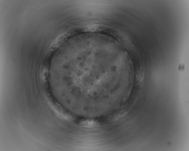 X0000112860503200909041557