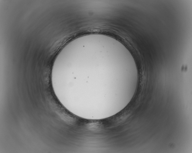 X0000112860505200909041556