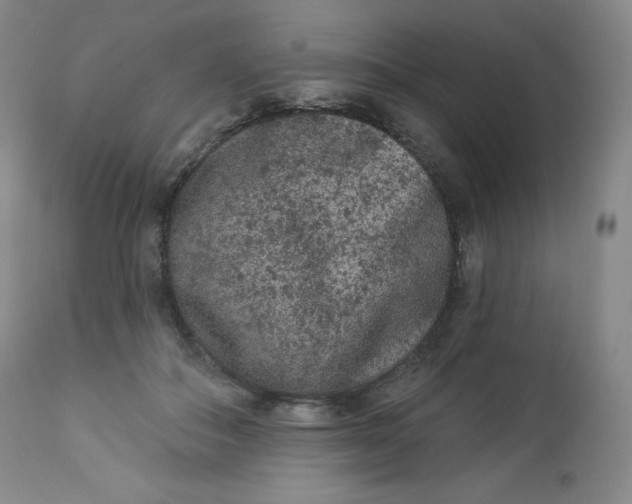 X0000112860506200909041556