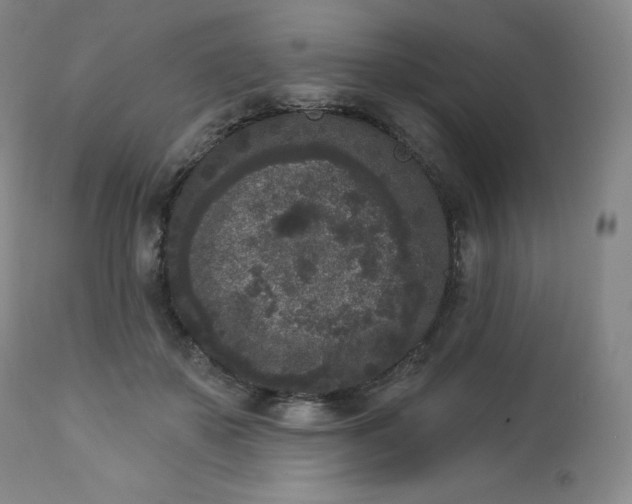 X0000112860507200909041556