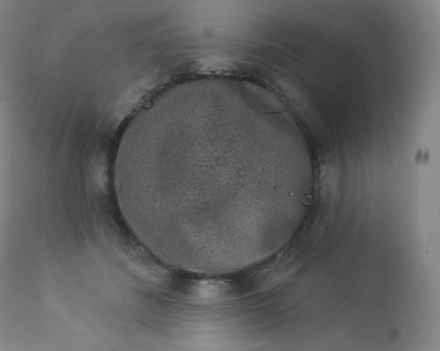 X0000112860508200909041556