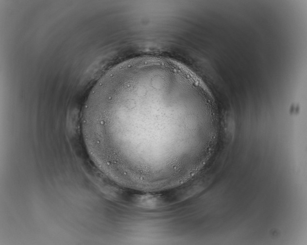 X0000112860511200909041556