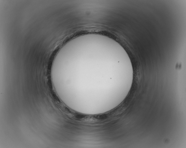 X0000112860512200909041556