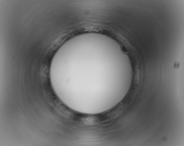 X0000112860513200909041556