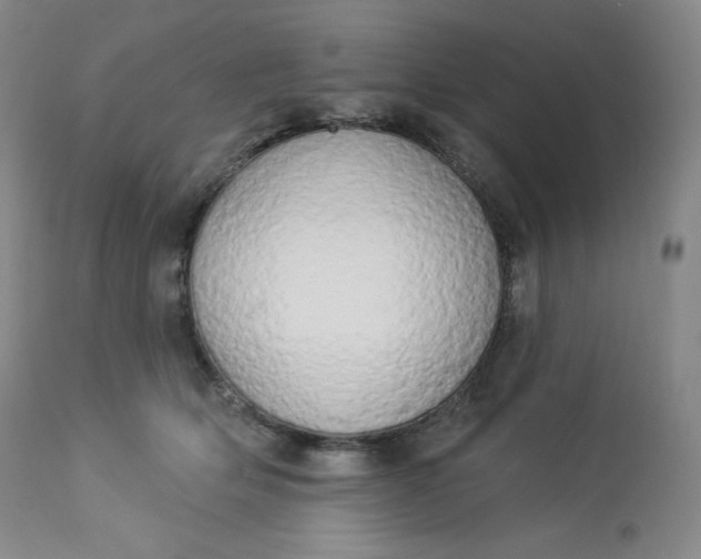 X0000112860514200909041556