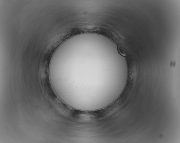 X0000112860515200909041556