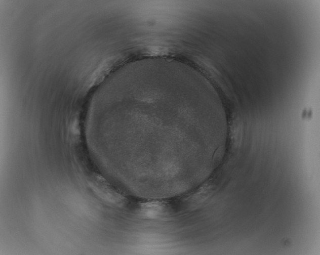 X0000112860516200909041556