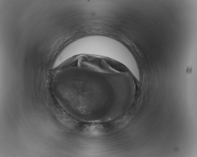 X0000112860517200909041556