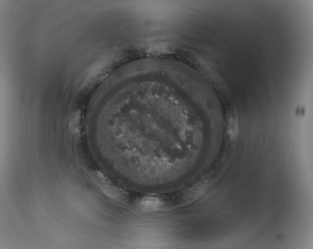 X0000112860519200909041556