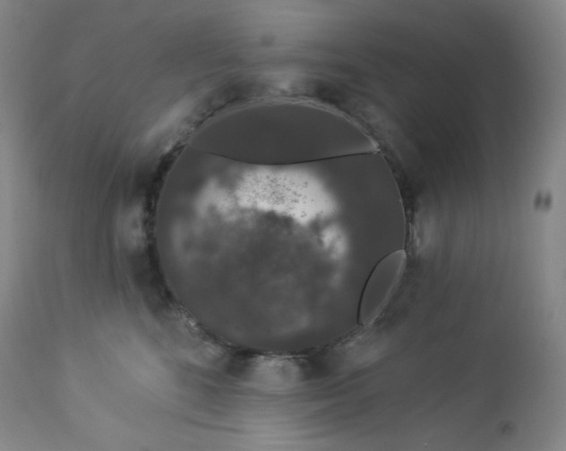 X0000112860520200909041556