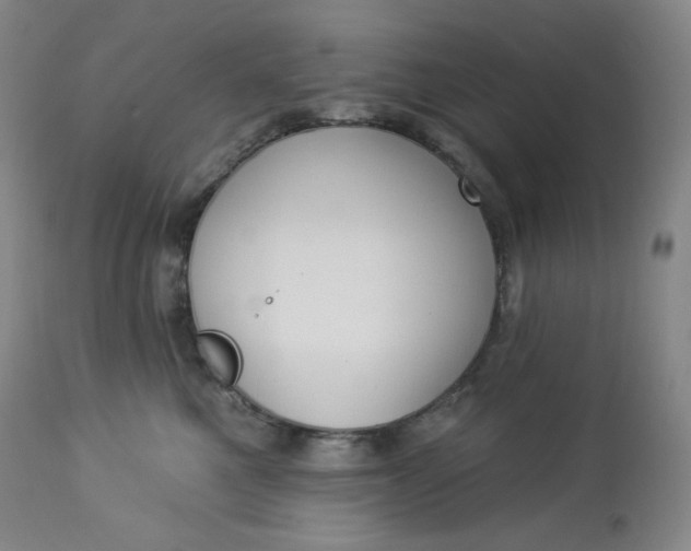 X0000112860521200909041556