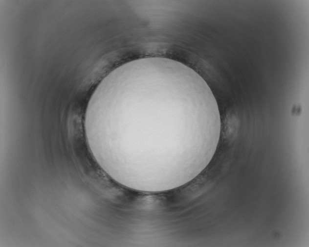 X0000112860522200909041556