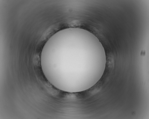 X0000112860523200909041556