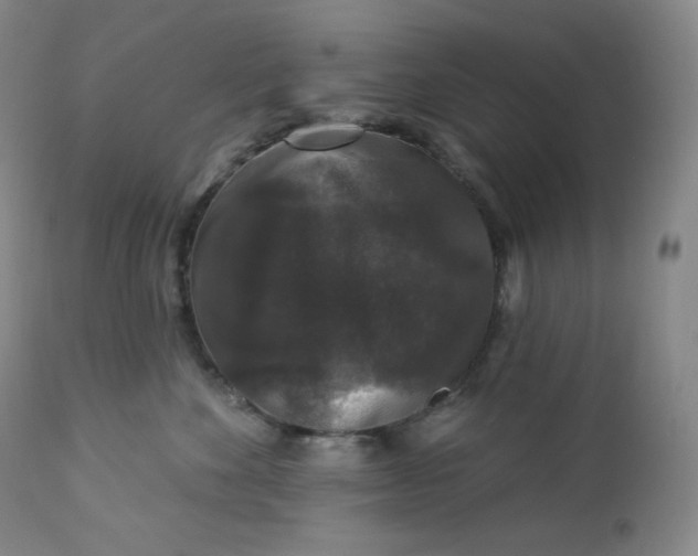 X0000112860524200909041556