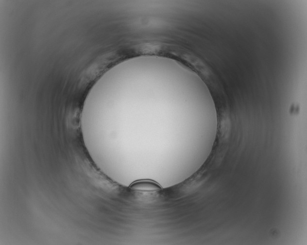 X0000112860525200909041556