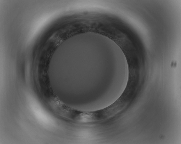 X0000112860526200909041556