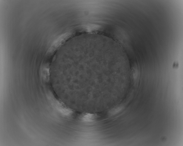 X0000112860527200909041556