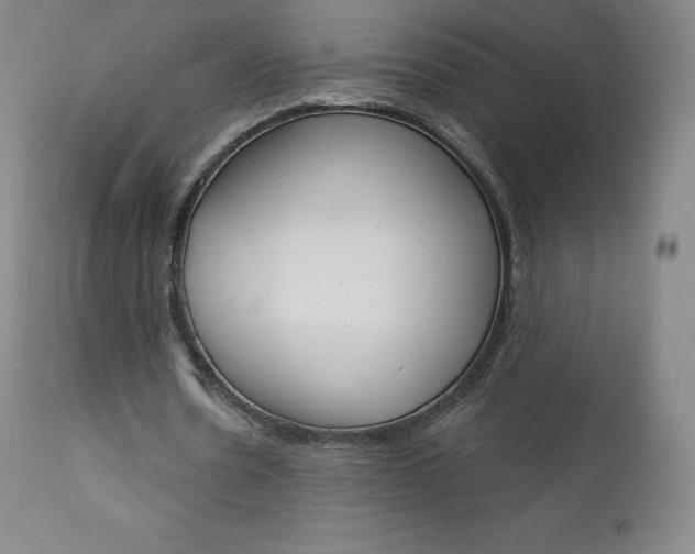 X0000112860530200909041555