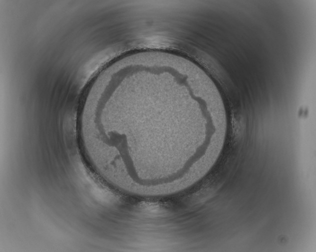 X0000112860534200909041555